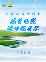 日日日日操