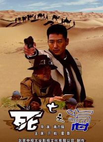 久久精品视频网