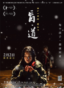 亚洲精品在线观