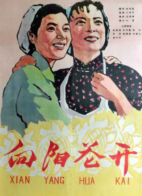 年轻美人