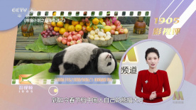 h文婚纱店里被强